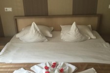 Pensiunea Jojo Pensiunea Jojo