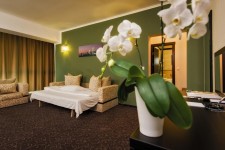 Hotel Ozana Hotel Ozana