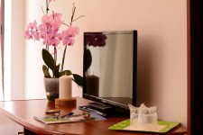 Pensiunea Casa Vlasin