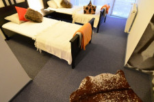 HOTEL BISCUIT HOTEL BISCUIT