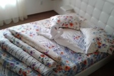 Pensiunea Diadis Pensiunea Diadis