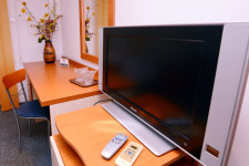 Complex Paloma Coral