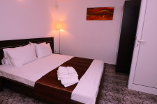 Complex Paloma Coral