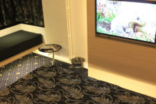 Aqvatonic Hotel Balneo & Spa- Steaua de Mare