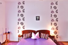 Vila Floare Albastra Vila Floare Albastra