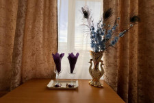 Pensiunea NYS 3* Pensiunea NYS 3*