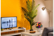 Aquarium Residence Economy 6 Aquarium Residence Economy 6