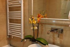 Hotel Roman Plaza Hotel Roman Plaza