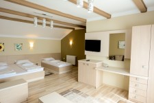 Pensiunea Sarmis Pensiunea Sarmis