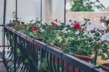 Gasthof Sara Guesthouse