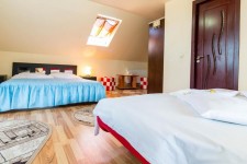 Pensiunea Mountain King Pensiunea Mountain King