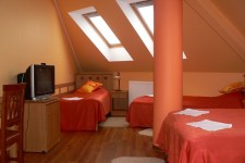 Pensiunea Desag Villa Pensiunea Desag Villa