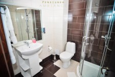 Pensiunea Ambiance Pensiunea Ambiance