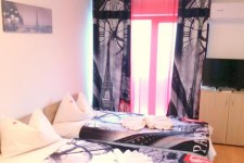 Pensiunea Red Rose Pensiunea Red Rose