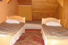 Pensiunea Irina 1 Pensiunea Irina 1